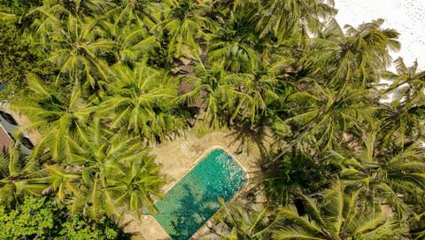 Bird's eye view, Garden, Pool view, Swimming pool