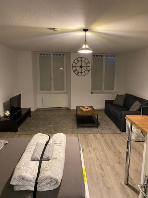 Le petit Langrois Apartment in Langres