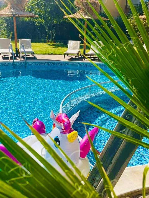 Day, Garden, Garden view, Pool view, Swimming pool, sunbed
