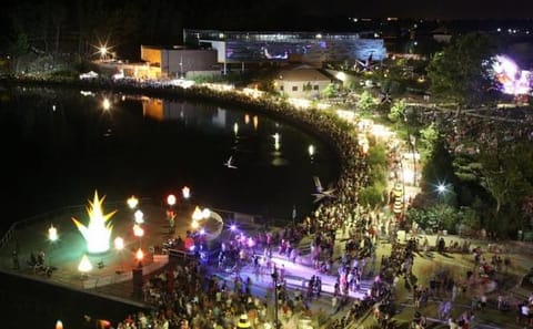 Night, Evening entertainment, Lake view