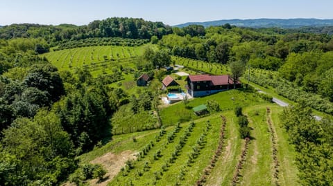 Property building, Bird's eye view