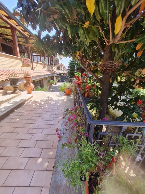 Villa Mattei Dreams House in Rome