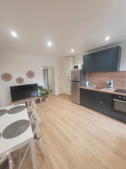 Kitchen or kitchenette, Living room, Seating area, Dining area, oven