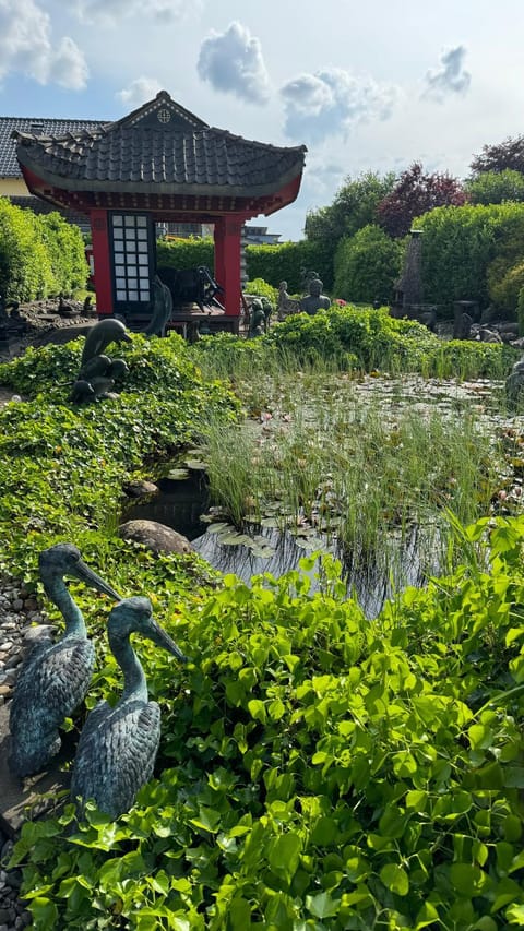 Natural landscape, Garden, Garden view