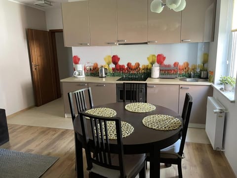 Apartament Amsterdam- Apartamenty Łeba Apartment in Pomeranian Voivodeship