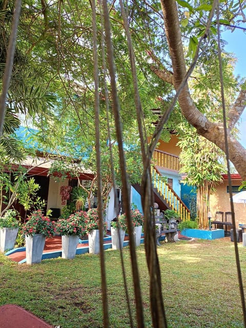 Natural landscape, Garden view