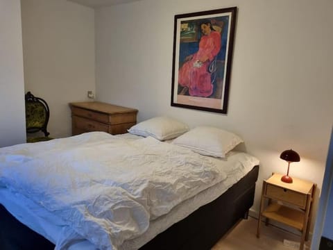 Pæn central lejlighed med gratis parkering Apartment in Central Denmark Region