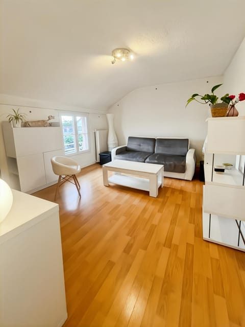 Conflans fin d'Oise bis Apartment in Île-de-France