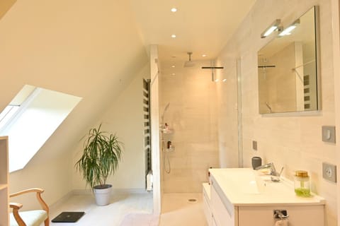 Shower, Bathroom, Dining area
