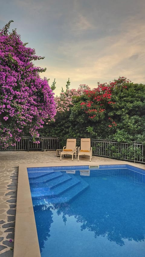 Garden view, Swimming pool, sunbed
