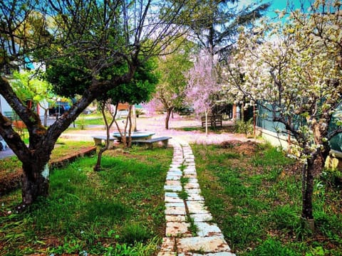 Garden, Garden view, Entertainment