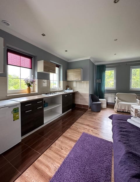 Kitchen or kitchenette, Photo of the whole room, oven, stove