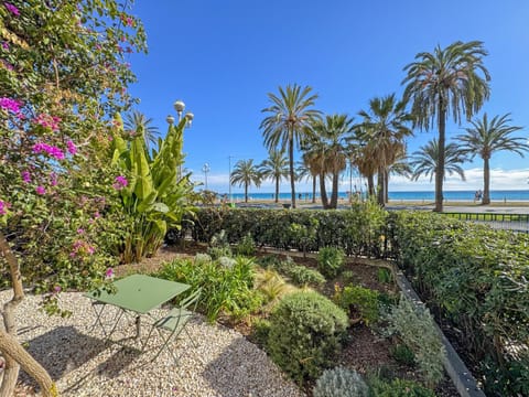 Patio, Garden, Garden view