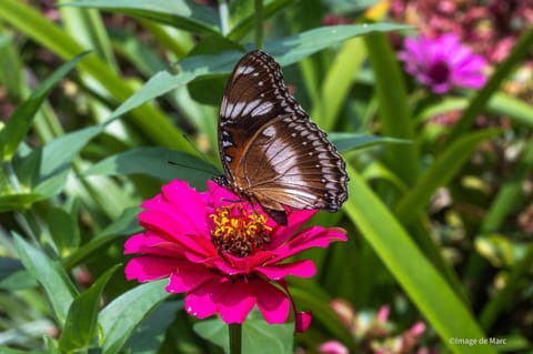 Intan sidemen villa Bed and Breakfast in Sidemen