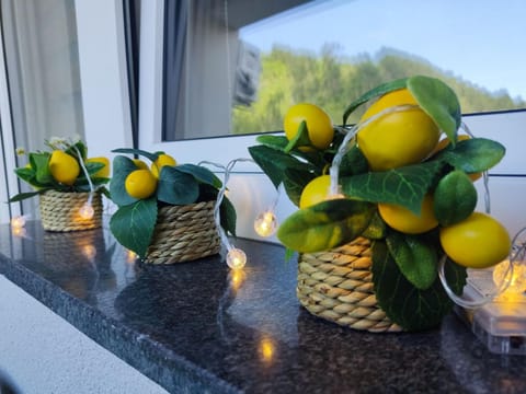 Apartman Kasic 2 Apartment in Federation of Bosnia and Herzegovina