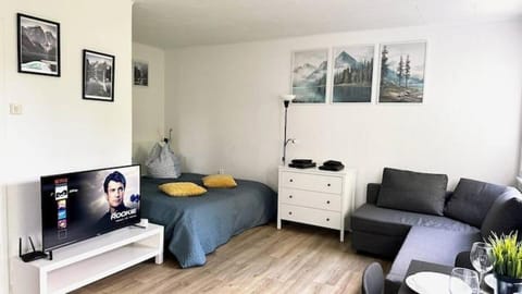 Bed, TV and multimedia, Living room, Seating area, Bedroom