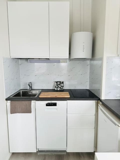 Valoisa yksiö 7km Himokselta Apartment in Finland