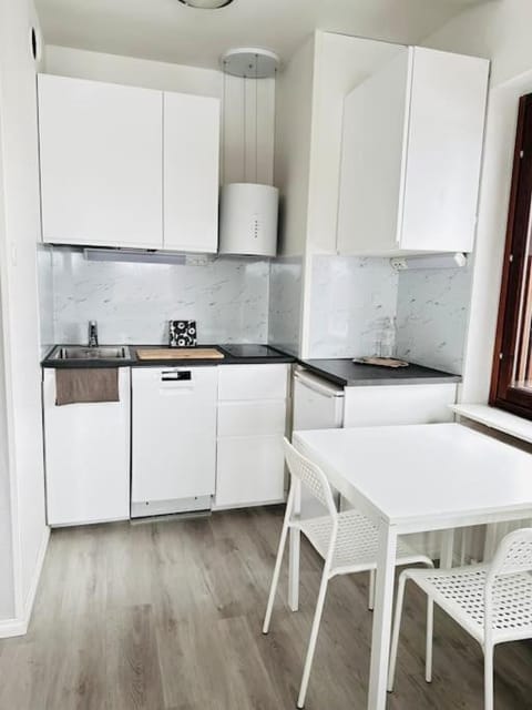 Valoisa yksiö 7km Himokselta Apartment in Finland