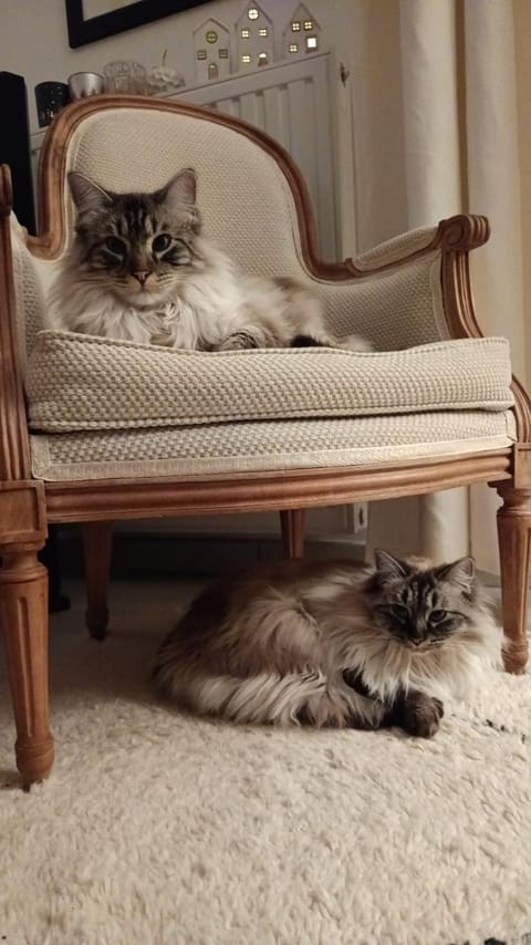 2 chambres d'hôtes Bed and Breakfast in Île-de-France