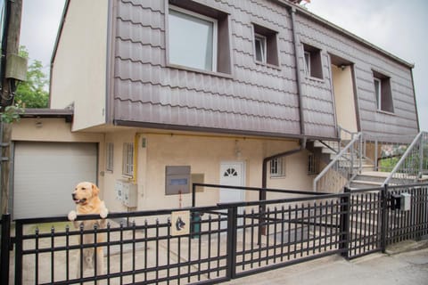 Property building, Pets