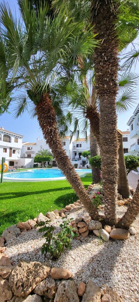 Natural landscape, Garden, Garden view, Pool view, Swimming pool