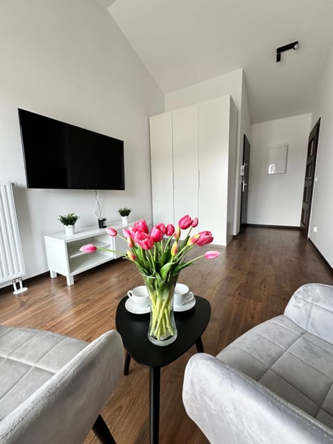 TV and multimedia, Evening entertainment