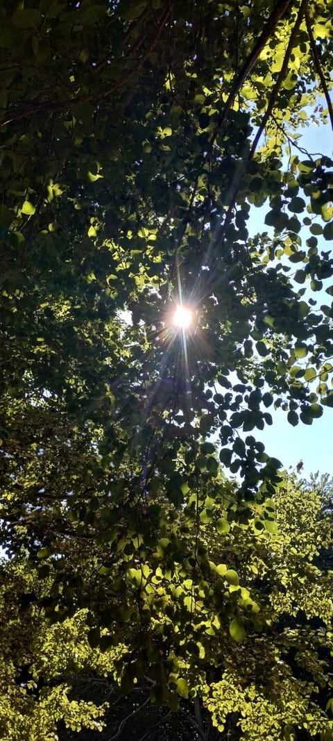 Villa Pina House in Vico Equense