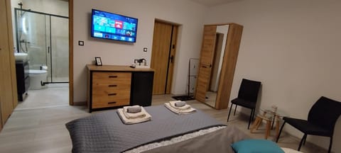 TV and multimedia, Coffee/tea facilities, Photo of the whole room, internet, towels