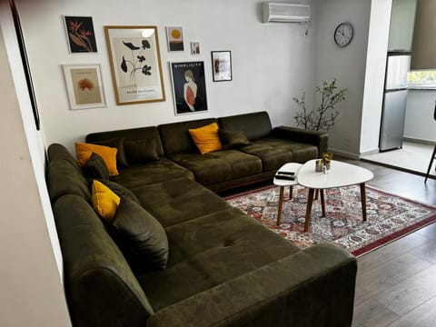 Living room, Seating area, air conditioner