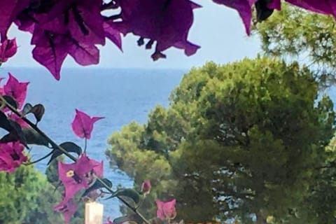Sea view
