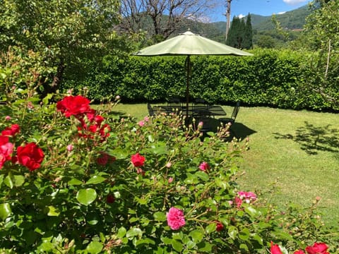 Garden, Garden, Garden view