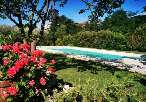 Gli Ulivi House in Province of Massa and Carrara