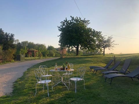 Garden, Sunset, sunbed