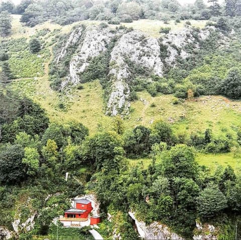 Natural landscape, Bird's eye view