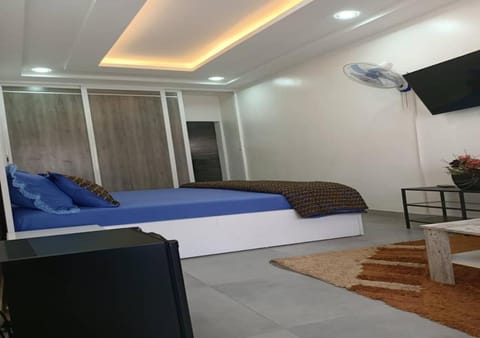 Toilet, Bed, Bathroom, TV and multimedia, Photo of the whole room, Seating area, Bedroom, wardrobe