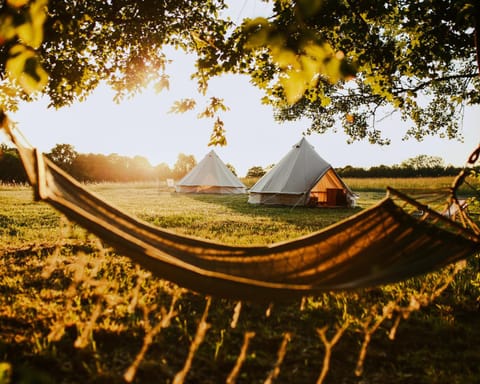 Natural landscape, Sunset