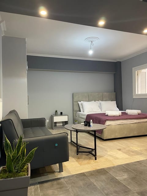 Bed, Living room, Photo of the whole room, Seating area, Bedroom