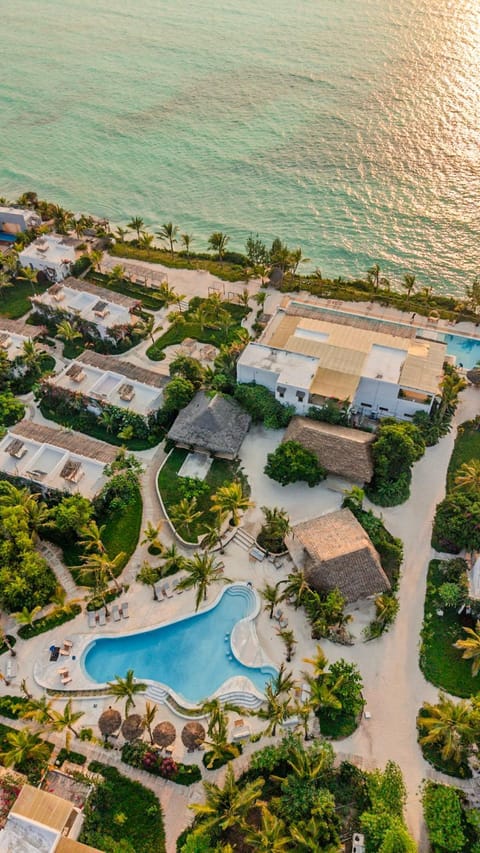 Property building, Beach, Sea view, Swimming pool, Swimming pool