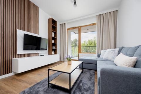 TV and multimedia, Living room, Seating area, Evening entertainment