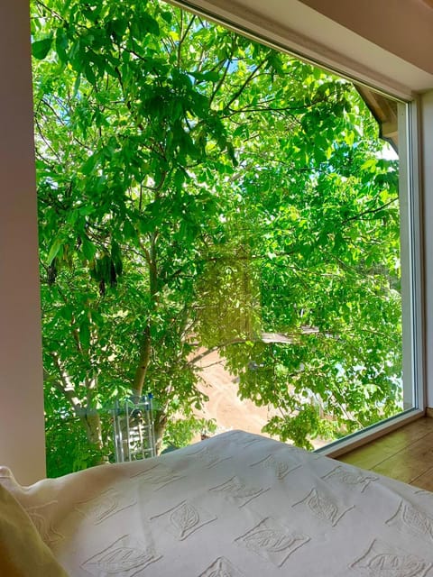 Spring, Bed, Day, Natural landscape, Garden, View (from property/room), Balcony/Terrace, Photo of the whole room, Garden view