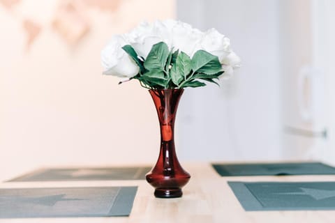 City Apartment Singen Apartment in Singen