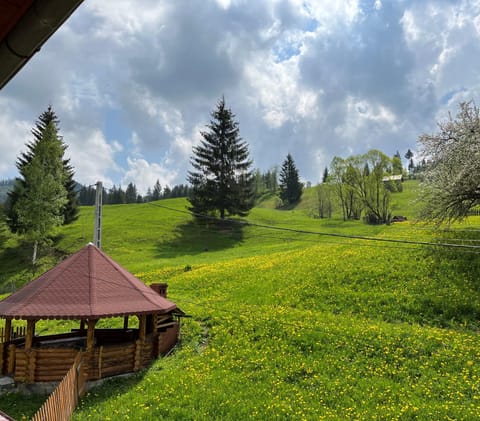 Natural landscape, Garden