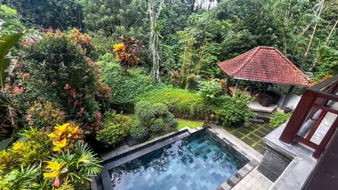 Garden, Garden view, Swimming pool
