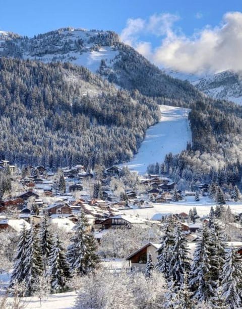 studio station des carroz d'arraches Apartment in Arâches-la-Frasse
