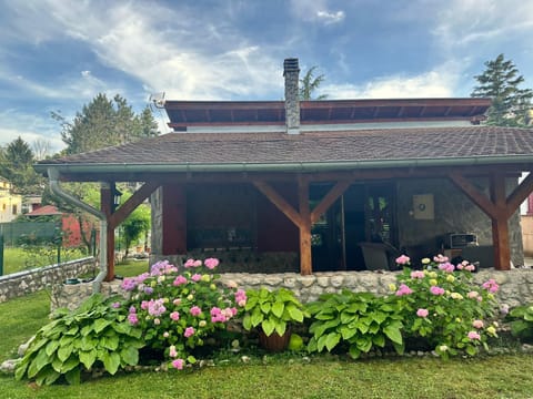 Property building, Garden, Garden view