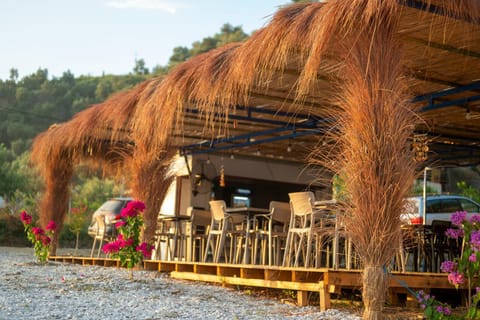 Property building, Restaurant/places to eat, Garden