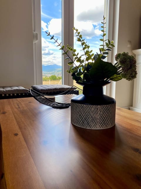 Antiva House in Split-Dalmatia County