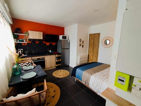 Bed, Kitchen or kitchenette, Photo of the whole room, Dining area, Bedroom, oven, pet friendly, stove