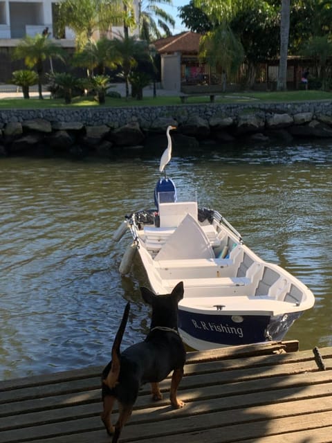 Day, Natural landscape, River view