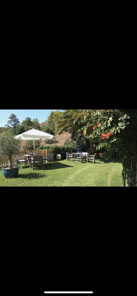 Natural landscape, Garden, Garden view